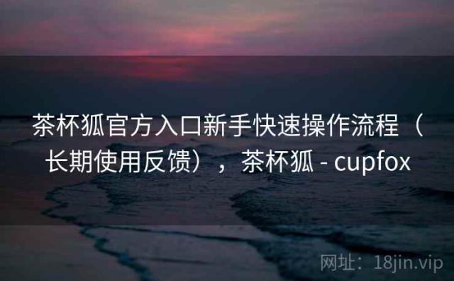 茶杯狐官方入口新手快速操作流程（长期使用反馈），茶杯狐 - cupfox