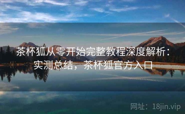 茶杯狐从零开始完整教程深度解析：实测总结，茶杯狐官方入口