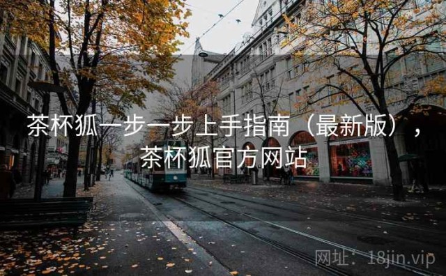 茶杯狐一步一步上手指南（最新版），茶杯狐官方网站