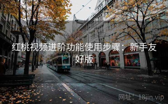 红桃视频进阶功能使用步骤：新手友好版