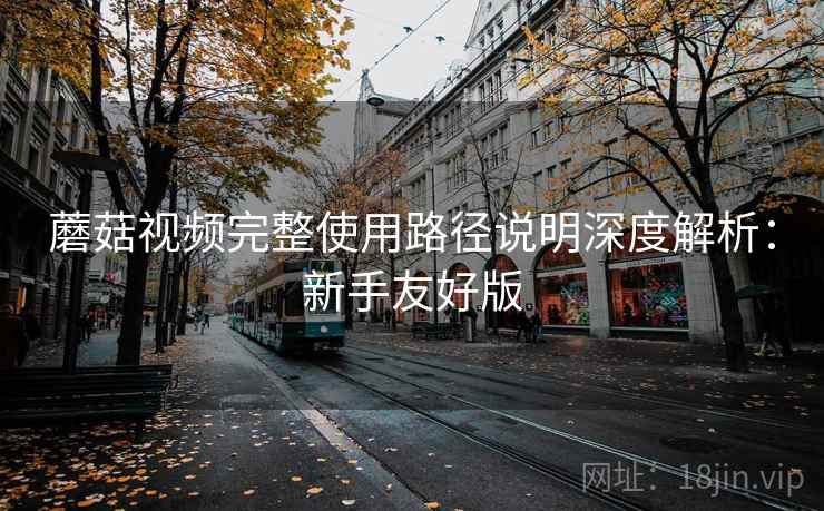 蘑菇视频完整使用路径说明深度解析：新手友好版