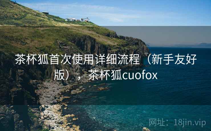 茶杯狐首次使用详细流程（新手友好版），茶杯狐cuofox