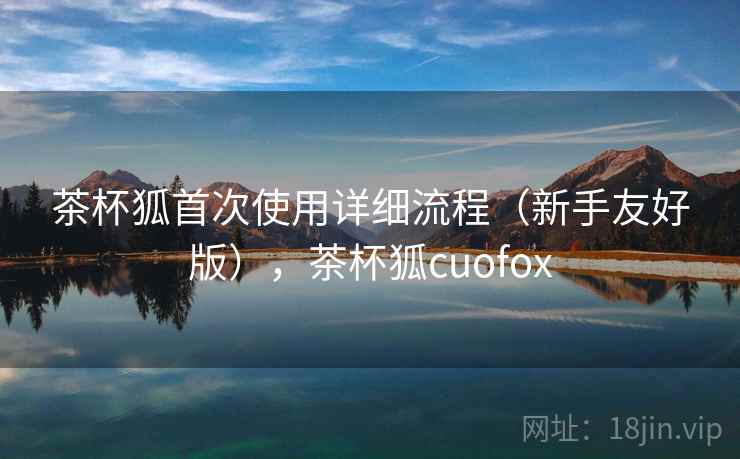 茶杯狐首次使用详细流程（新手友好版），茶杯狐cuofox