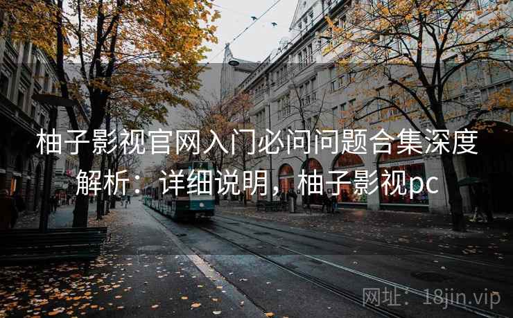 柚子影视官网入门必问问题合集深度解析：详细说明，柚子影视pc