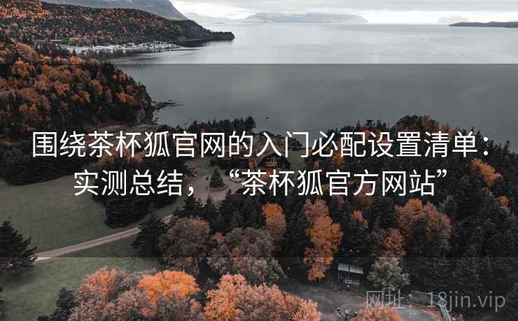 围绕茶杯狐官网的入门必配设置清单：实测总结，“茶杯狐官方网站”